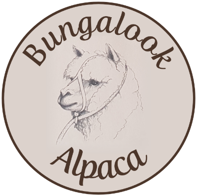 Bungalook Alpacas